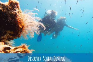 Discover Scuba Diving