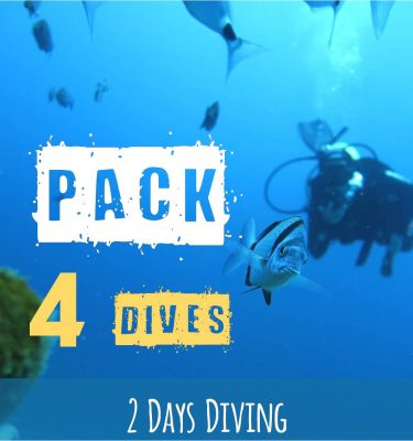 Diving Guides