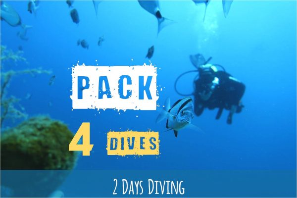 Pack 4 Dives