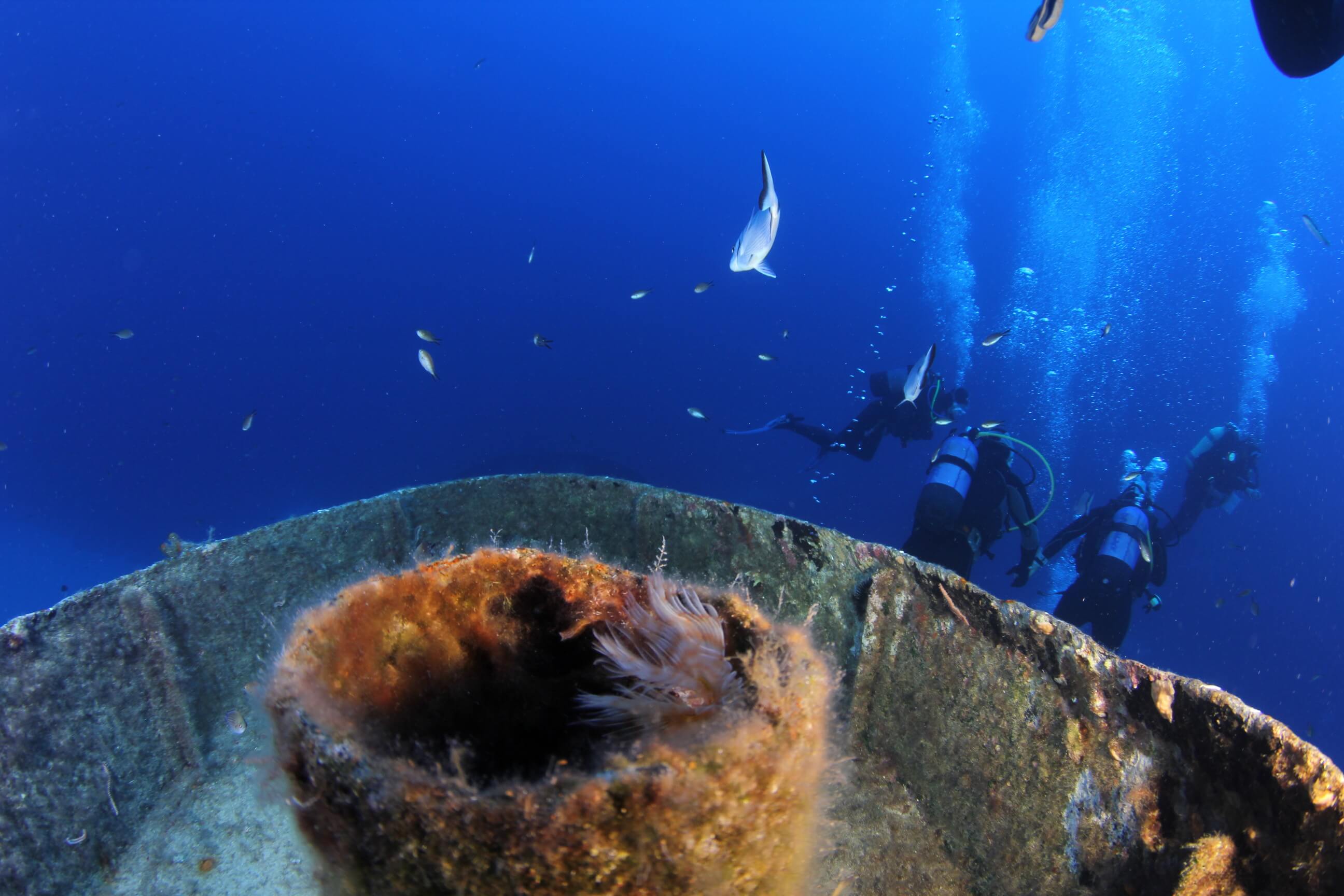 Wreck Diving Specialty Course
